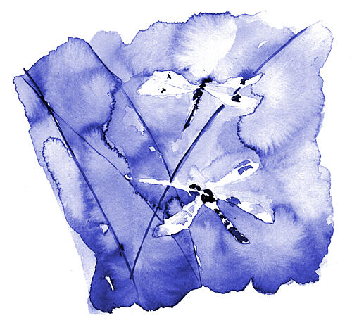 Watercolor Blue Dragonflies Art Print