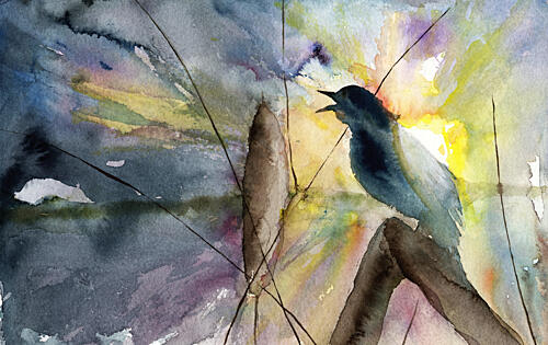 Singing Bird Sunrise Art Print