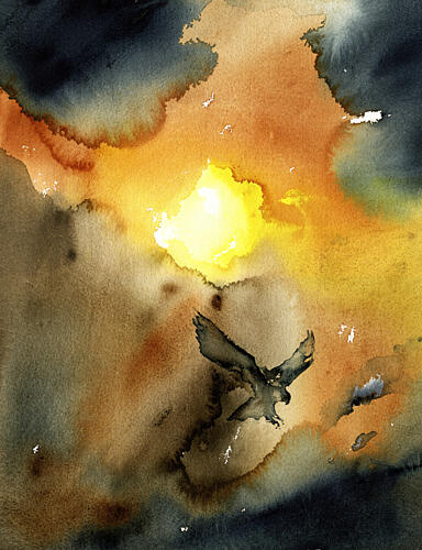 Eagle Soaring Sunset Art Print