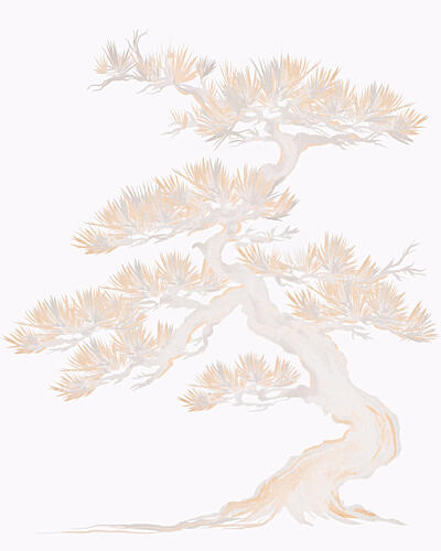 Elegant Zen Pine Art Print