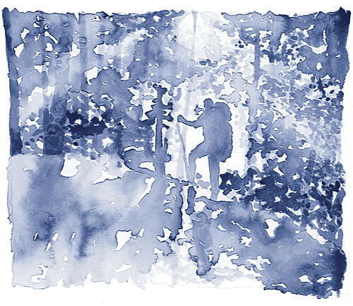Blue Forest Wanderer Art Print