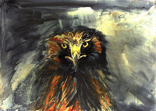 Fierce Eagle Stare Art Print