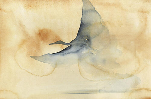 Ethereal Bird Soaring Art Print