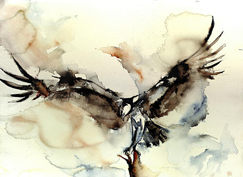 Dynamic Osprey Flight Art Print