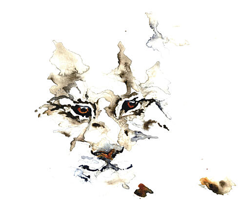 Wild Lynx Watercolor Art déco reproduction