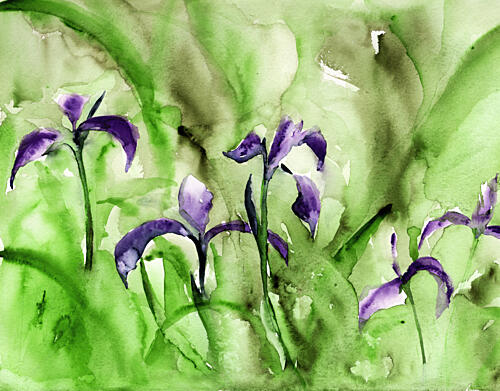Vibrant Iris Garden Art déco reproduction