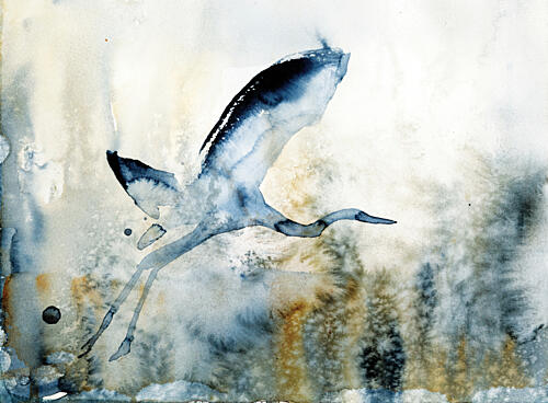 Graceful Heron Flight Art Print