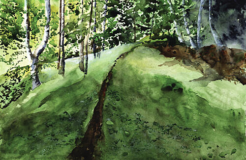 Lush Forest Path Art Print