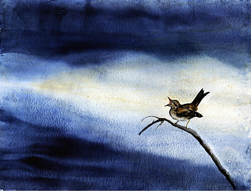 Singing Bird Dark Sky Art Print