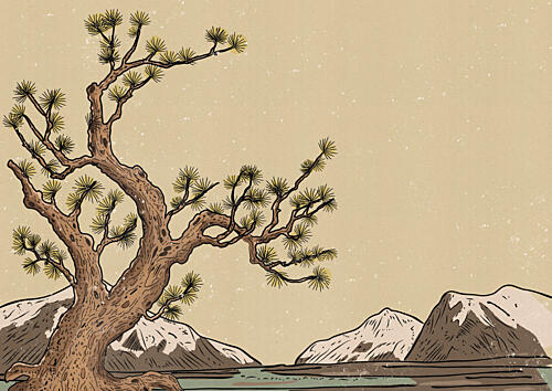Ancient Pine Landscape Art Print