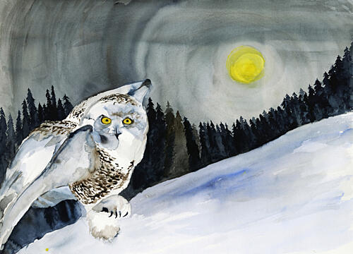 Snowy Owl Winter Moon Art Print
