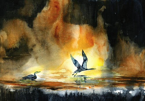 Sunset Water Birds Art Print