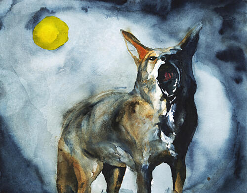 Howling Coyote Moon Art Print