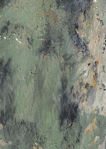Muted Green Abstract Flow Art Print