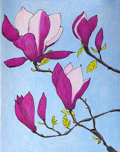 Purple Magnolia Blossoms Art déco reproduction