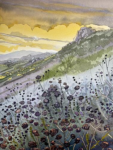 Mountain Sunset Wildflowers Art Print