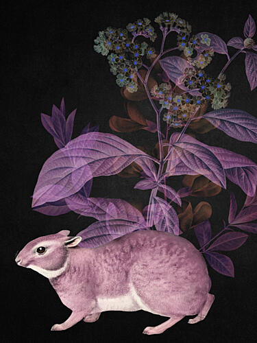 Mysterious Purple Rabbit Art déco reproduction