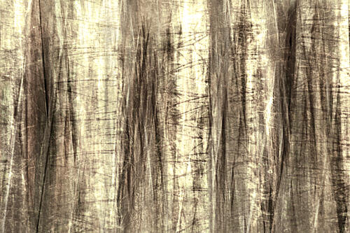 Dreamy Forest Lines Art déco reproduction
