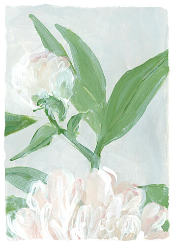 Soft Peony Blooms Art déco reproduction