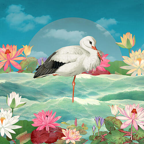 White Stork Water Lilies Art Print