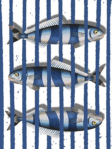 Blue Striped Fish Art déco reproduction