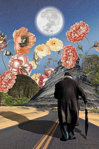 Mans Moonlit Poppies Pop art reproduction