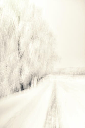 Dreamy Winter Path Art Print