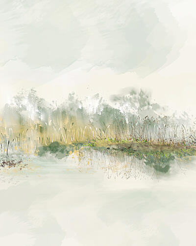Misty Wetland Reeds Art Print
