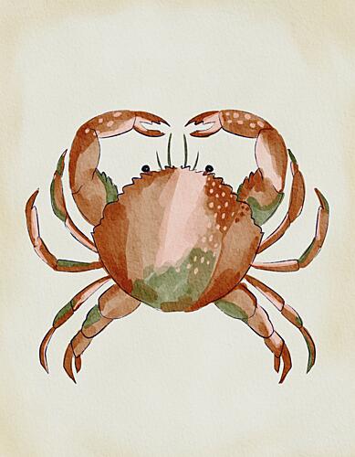 Watercolor Crab Art déco reproduction