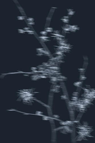 Ethereal Blooming Branches Art déco reproduction