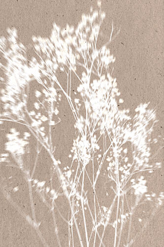Soft Plant Silhouettes Art Print