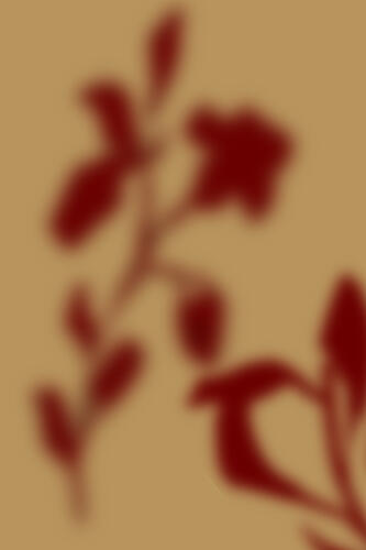 Red Floral Silhouette Art déco reproduction