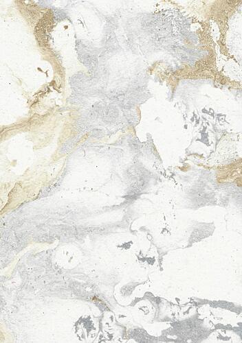 Elegant Gold Silver Abstract Gold Print