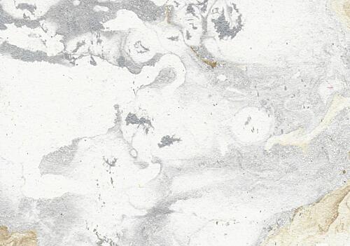 Light Gray Abstract Texture Gold Print