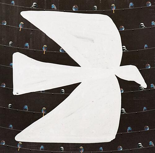 White Peace Dove Art Print