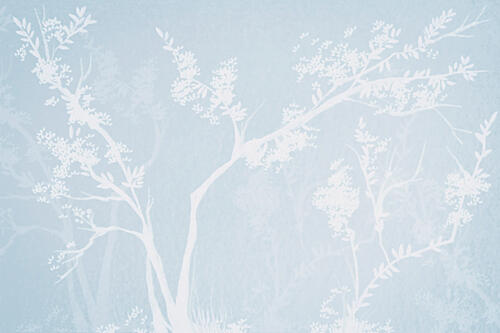 Ethereal White Blossoms Art Print