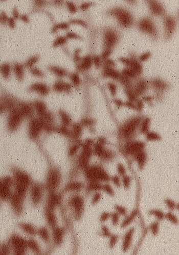 Warm Plant Shadows Impressionist Print