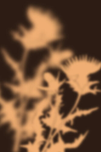 Ethereal Thistle Glow Art déco reproduction