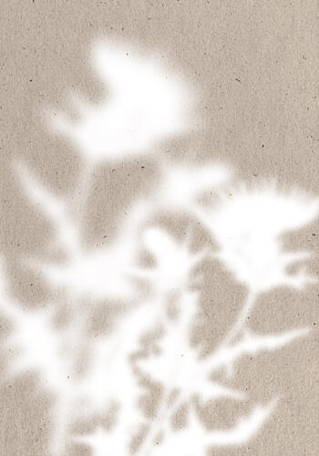 Soft Botanical Shadows Art déco reproduction