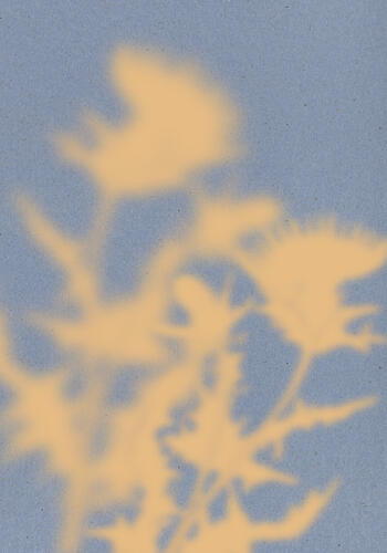Soft Floral Shadows Art déco reproduction