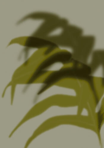 Tropical Shadow Play Art déco reproduction