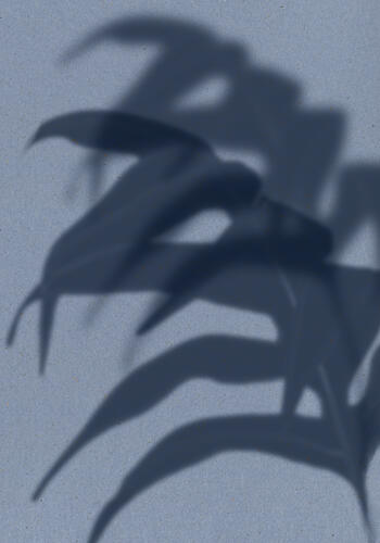 Tropical Leaf Shadows Art déco reproduction