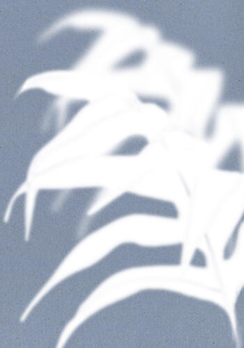 Tropical Shadow Play Art déco reproduction