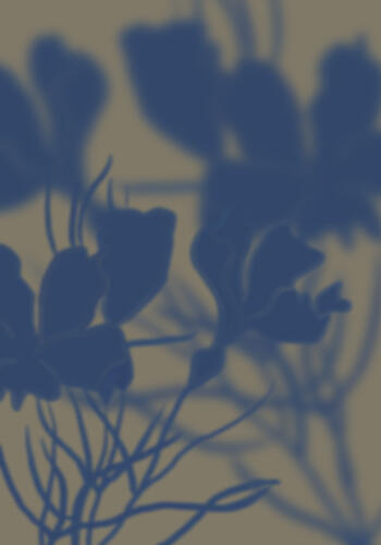 Soft Floral Silhouettes Art Print