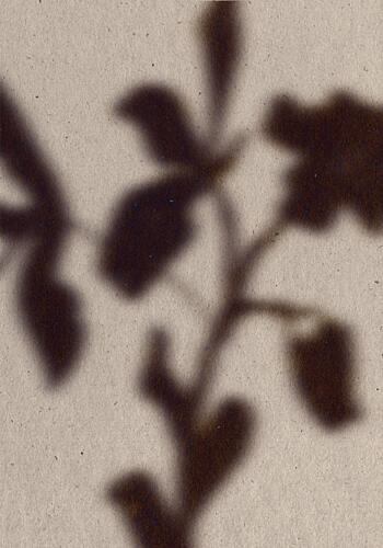 Soft Leaf Shadows Art déco reproduction