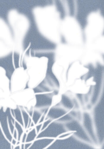 Ethereal Floral Silhouettes Art Print