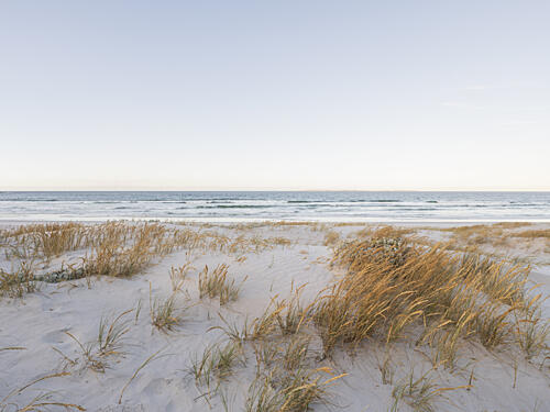 Serene Coastal Sands Art Print by Ryno Botha