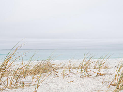 Serene Beach Grass Art Print by Ryno Botha