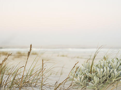 Coastal Whispers in Pastel Art Print by Ryno Botha