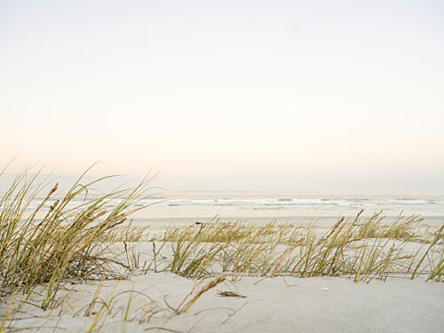 Ethereal Coastal Morning Art Print by Ryno Botha